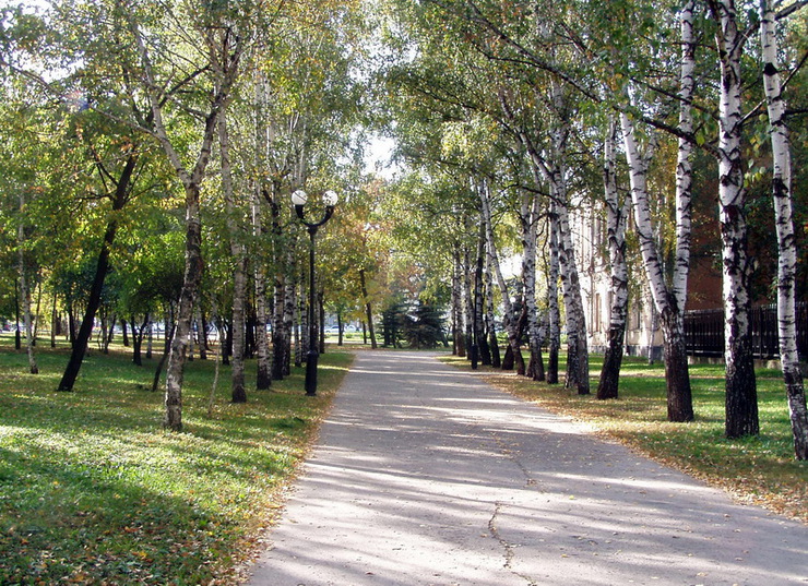 Студенческие стройотряды приступили к благоустройству городских скверов