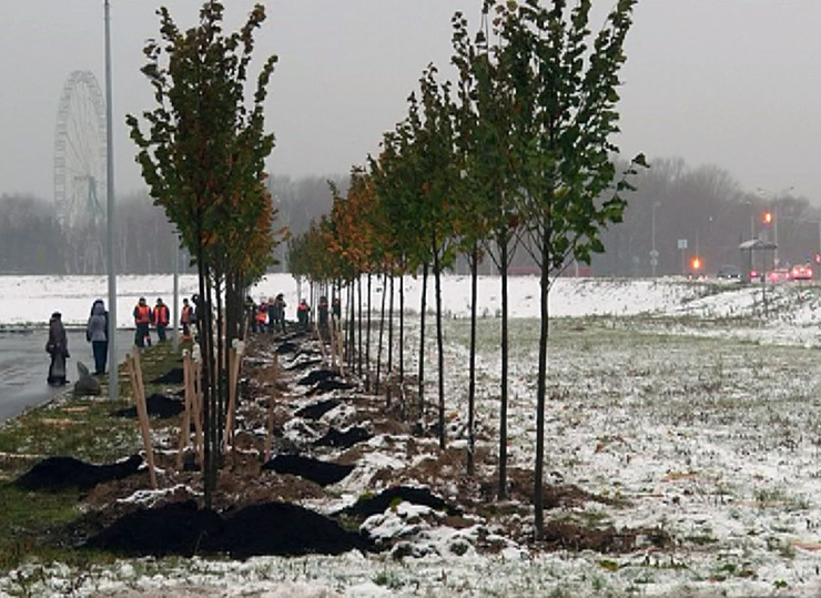 I. Metshin plants 100,000th tree within "Green Record" project