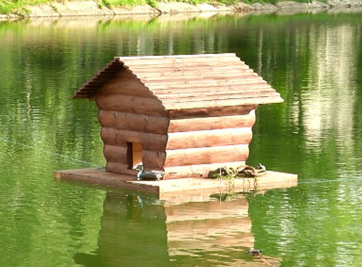 Ducks got their own housing in Kazan Uritsky Park