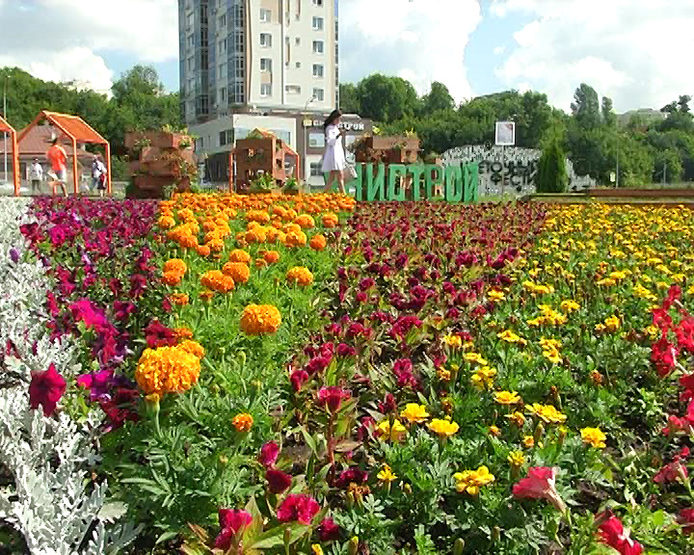 I. Metshin visited the site of the "Flower Festival" at the Puppet Theater "Ekiyat"