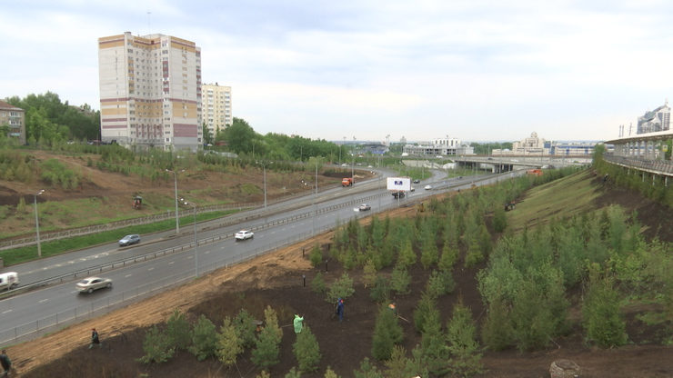 A large-scale "green reconstruction" is carried out at the hillsides of the Ametyevsk highway