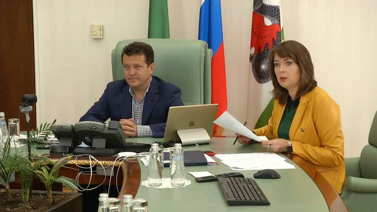 The Mayor of Kazan took part in an online webinar of the BRICS Youth Energy Agency