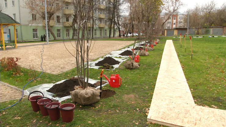 I.Metshin took part in tree planting in the Kirovsky district of Kazan