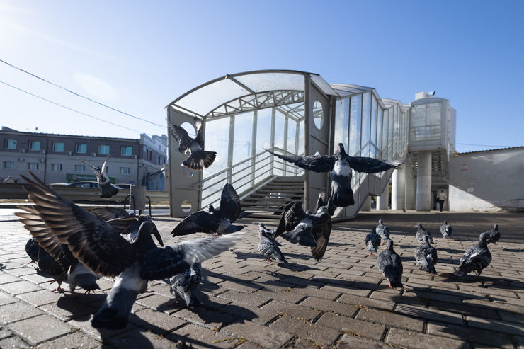 In Kazan, elevators in six above-ground pedestrian crossings will be replaced prior the BRICS Summit