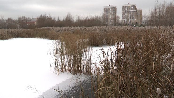 Ilsur Metshin gets acquainted with the improvement of the first part of the area around the Bolshoye Chaikovoe Lake