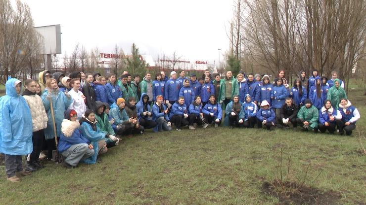 Ilsur Metshin and Kazan activists have planted 40 Siberian pines in the square near the Kazan-2 Railway Station